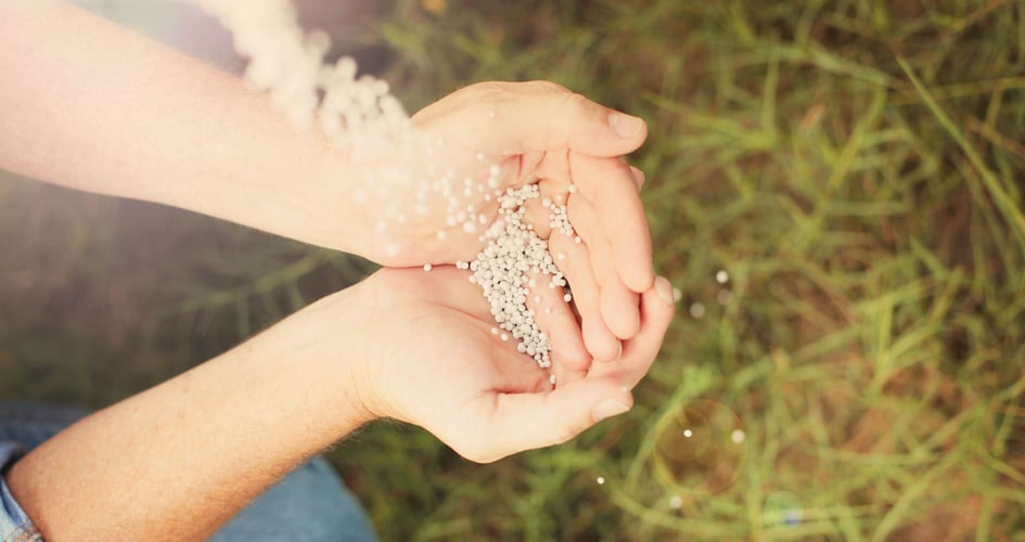 mani che tengono del concime