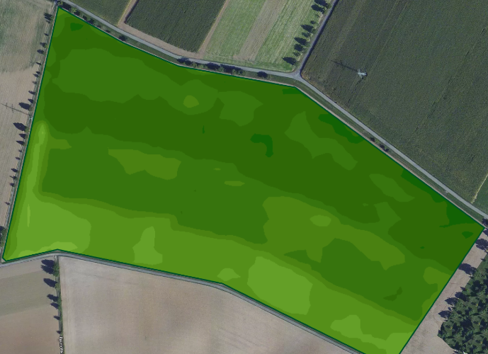 3 differenti date di semina invernale di un campo di grano