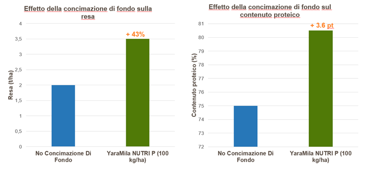 effetto della concimazione di fondo del frumento su resa e proteine