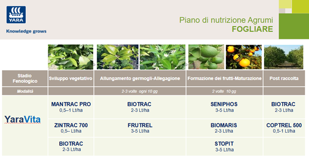 Piano di concimazione fogliare per gli Agrumi