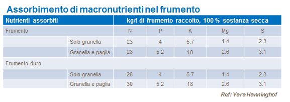 assorbimento_di_macronutrienti