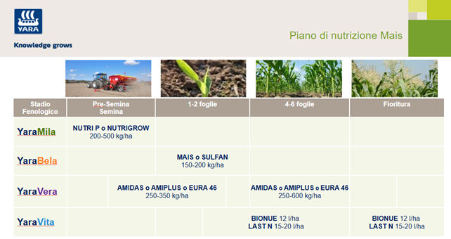 piano di concimazione del mais