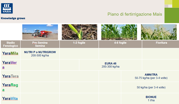 piano di fertirrigazione del mais