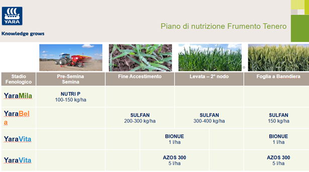 piano di concimazione frumento tenero