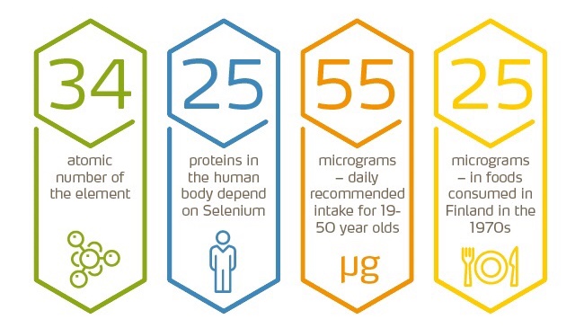 Infographic on Selenium by Yara