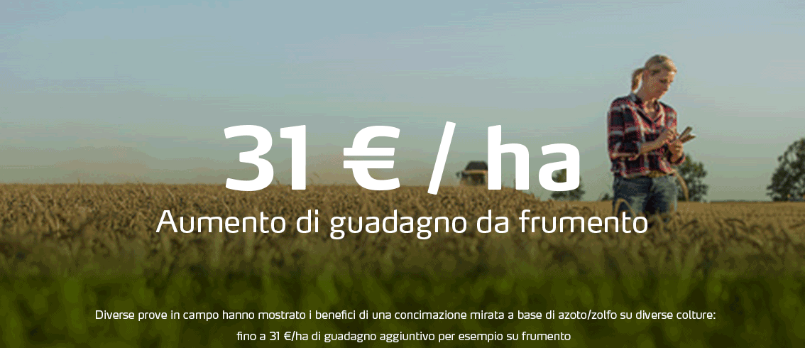 Increased-income-wheat-ita.png