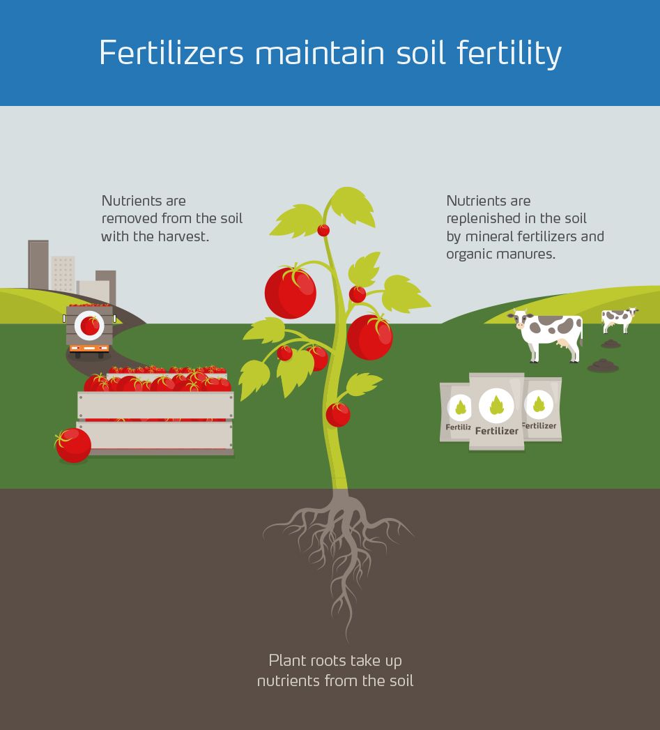 Fertilizers maintain soil fertility