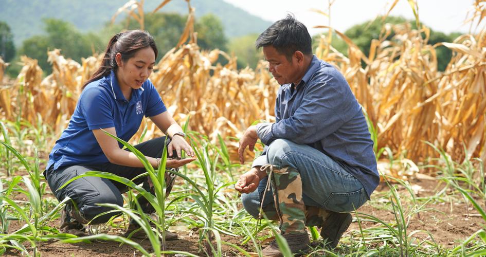 Yara Thailand Agronomist and maize farmer in field.